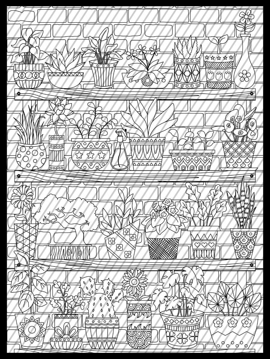 Indoor House Plants Coloring Page, Succulents Coloring sheet, Flower pots Jumbo Coloring book