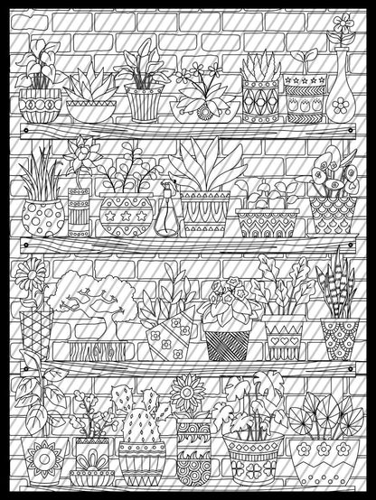 Indoor House Plants Coloring Page, Succulents Coloring sheet, Flower pots Jumbo Coloring book